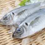 金沢さんの鮮魚