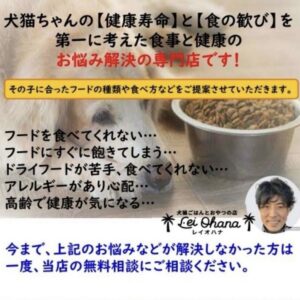 無料お悩み相談（公式LINE）